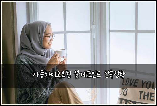 ์๋์ฐจ๋น๊ต๋ณดํ ์ค๊ณํฌ์ธํธ ์ ์์ ํ
