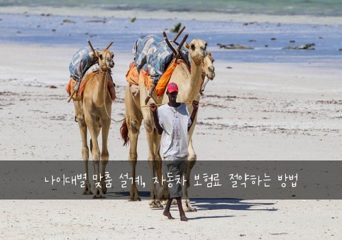  나이대별 맞춤 설계, 자동차 보험료 절약하는 방법
