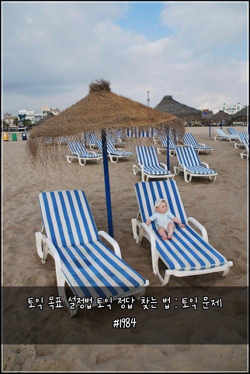 토익 목표 설정법 토익 정답 찾는 법 : 토익 문제 #1984