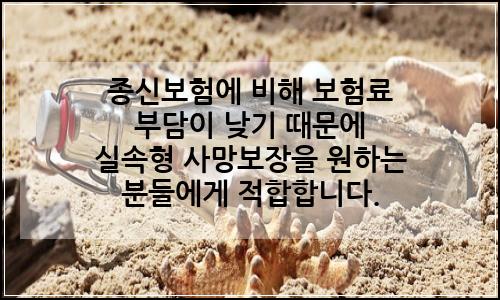 오늘의 이미지