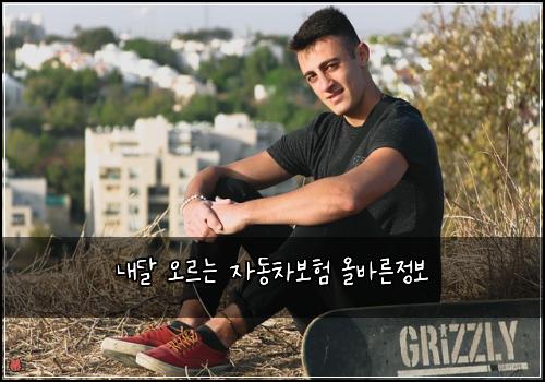내달 오르는 자동차보험 올바른정보 