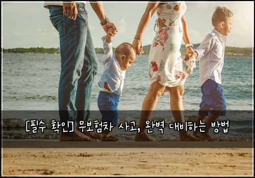  [필수 확인] 무보험차 사고, 완벽 대비하는 방법