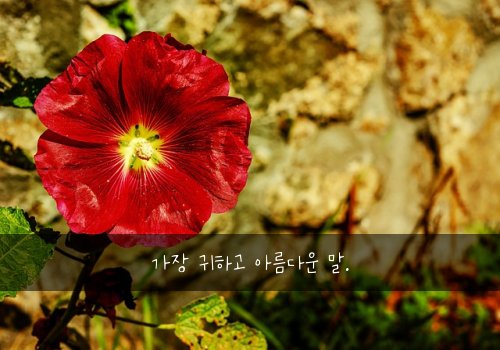 가장 귀하고 아름다운 말.