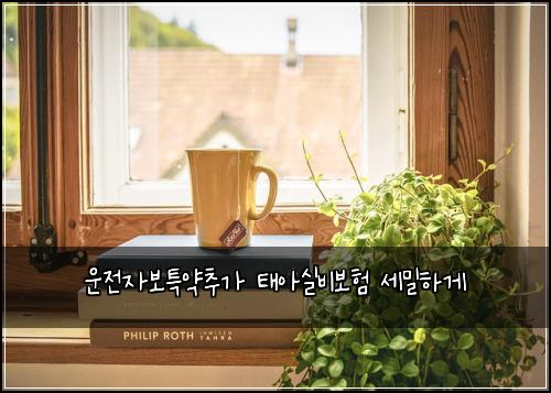 운전자보특약추가 태아실비보험 세밀하게 