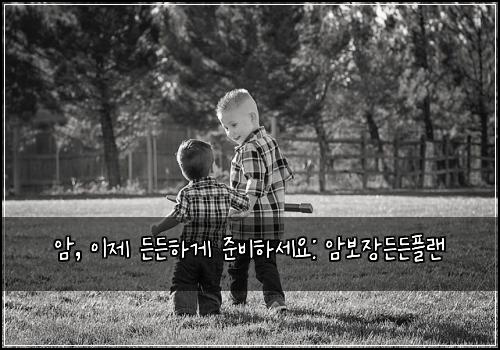  암, 이제 든든하게 준비하세요: 암보장든든플랜