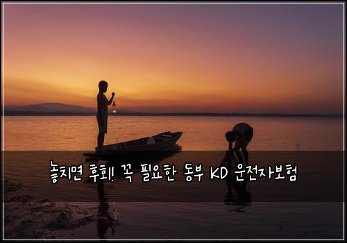  놓치면 후회! 꼭 필요한 동부 KD 운전자보험
