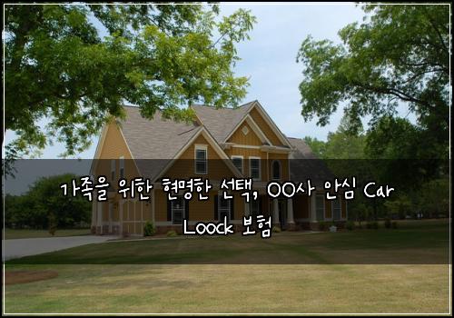  가족을 위한 현명한 선택, OO사 안심 Car Loock 보험
