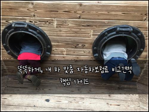  똑똑하게, 내 차 맞춤 자동차보험료 비교견적 핵심 가이드