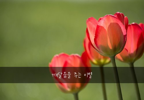 깨달음을 주는 이별