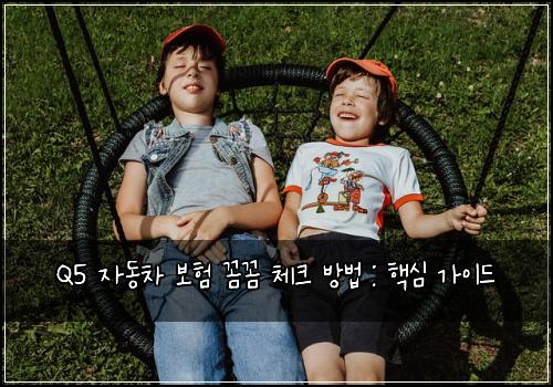Q5 자동차 보험 꼼꼼 체크 방법 : 핵심 가이드