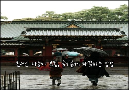 친서민 자동차 보험, 슬기롭게 해결하는 방법