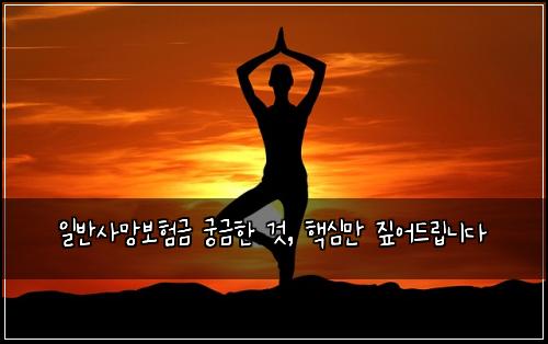  일반사망보험금 궁금한 것, 핵심만 짚어드립니다