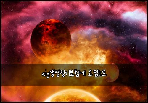 aig생명정기보험에 요점노트