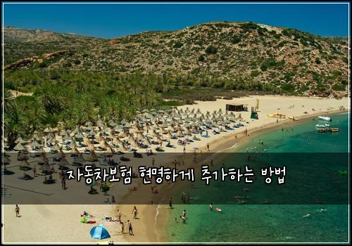 자동차보험 현명하게 추가하는 방법