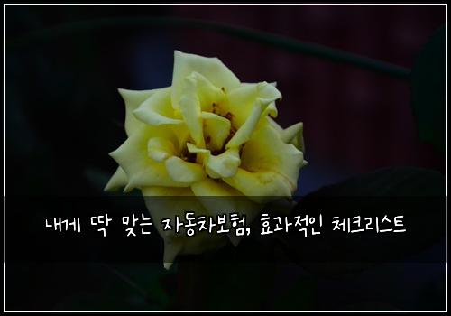  내게 딱 맞는 자동차보험, 효과적인 체크리스트
