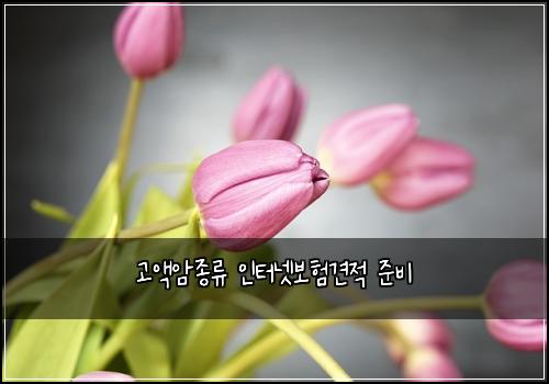 고액암종류 인터넷보험견적 준비