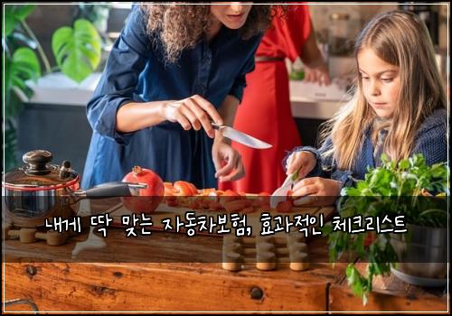  내게 딱 맞는 자동차보험, 효과적인 체크리스트