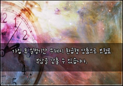 가입 후 일정기간 무해지 환급형 상품으로 보험료 부담을 낮출 수 있습니다.