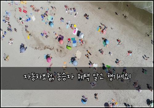 자동차보험, 동승자 혜택 알고 챙기세요!