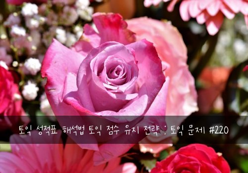 토익 성적표 해석법 토익 점수 유지 전략 : 토익 문제 #220