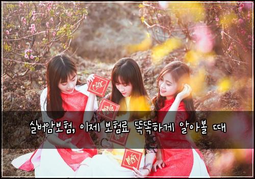 실버암보험, 이제 보험료 똑똑하게 알아볼 때