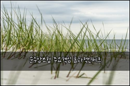 순수암보험 주요핵심  효과적인체크
