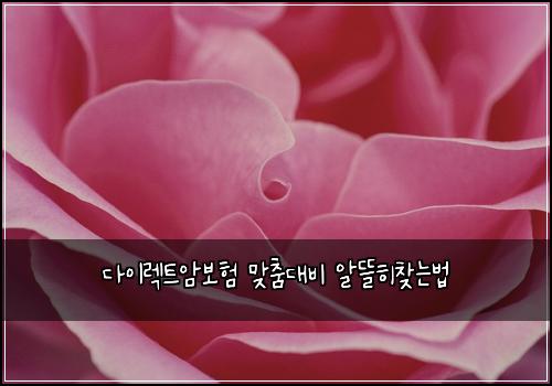 다이렉트암보험 맞춤대비  알뜰히찾는법