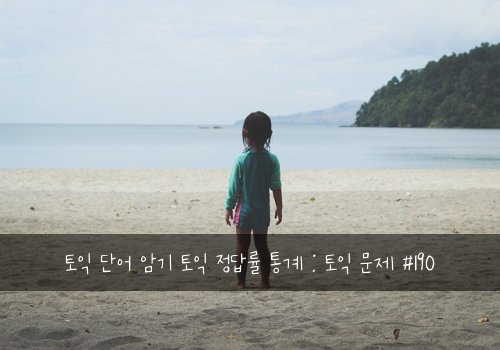 토익 단어 암기 토익 정답률 통계 : 토익 문제 #190