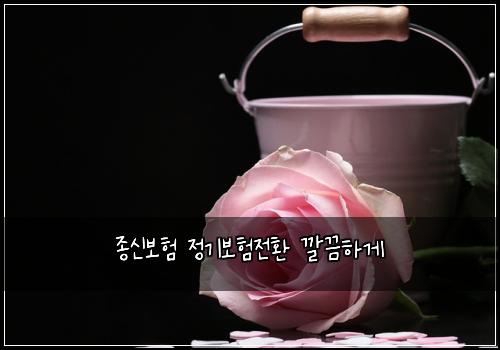 종신보험 정기보험전환 깔끔하게