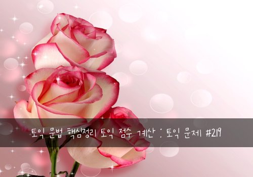 토익 문법 핵심정리 토익 점수 계산 : 토익 문제 #219