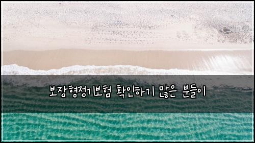 보장형정기보험 확인하기  많은 분들이