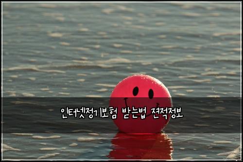 ์ธํฐ๋ท์ ๊ธฐ๋ณดํ ๋ฐ๋๋ฒ ์ ผ์ ์ ๋ณด