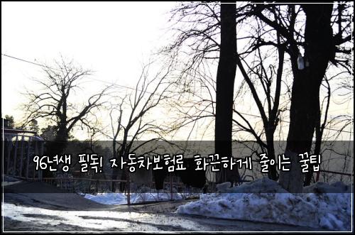  96년생 필독! 자동차보험료 화끈하게 줄이는 꿀팁