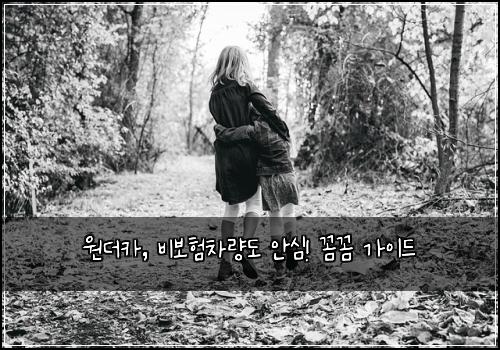 원더카, 비보험차량도 안심! 꼼꼼 가이드