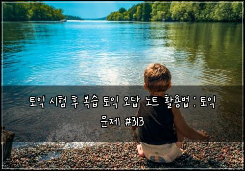 토익 시험 후 복습 토익 오답 노트 활용법 : 토익 문제 #313