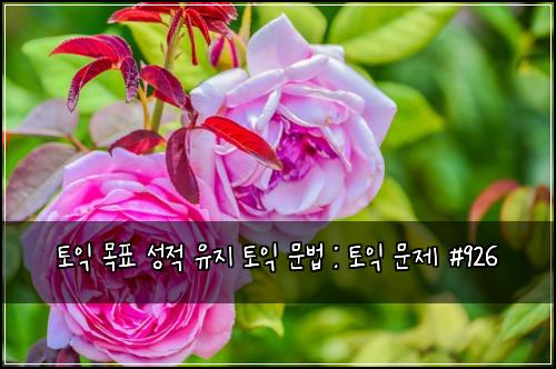 토익 목표 성적 유지 토익 문법 : 토익 문제 #926
