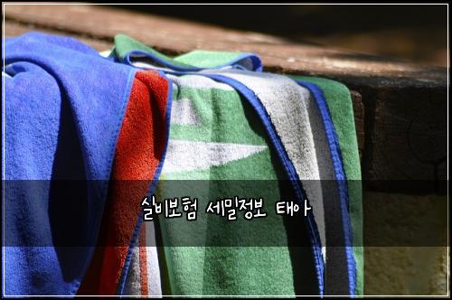 실비보험 세밀정보  태아