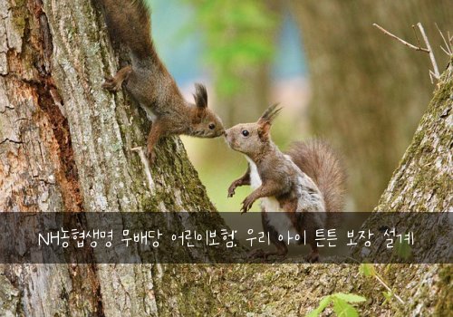 NH농협생명 무배당 어린이보험: 우리 아이 튼튼 보장 설계