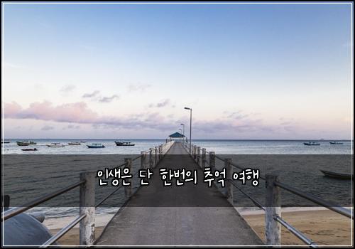 인생은 단 한번의 추억 여행