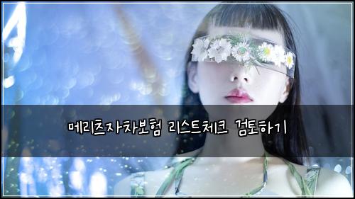 ๋ฉ๋ฆฌ์ธ ์์ฐจ๋ณดํ ๋ฆฌ์คํธ์ฒดํฌ ๊ฒํ ํ๊ธฐ