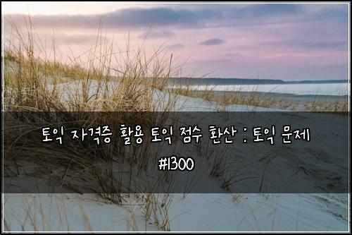 토익 자격증 활용 토익 점수 환산 : 토익 문제 #1300