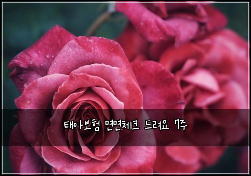 ํ์๋ณดํ ๋ฉด๋ฉด์ฒดํฌ ๋๋ ค์ 7์ฃผ