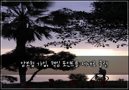  암보험 가입, 핵심 포인트를 제대로 클릭!