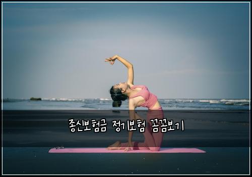์ข
์ ๋ณดํ๊ธ ์ ๊ธฐ๋ณดํ ๊ผผ๊ผผ๋ณด๊ธฐ