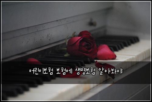 μ΄λ¦°μ΄λ³΄ν 보νμ μλͺ
보ν μμλ΄μΌ