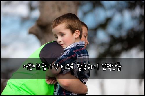 어린이보험가격 비교몰 활용하기 견적산출
