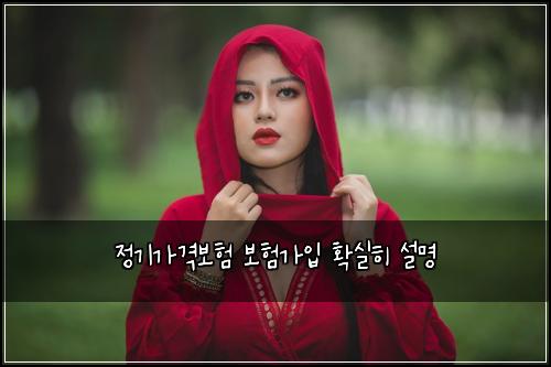 정기가격보험 보험가입  확실히 설명