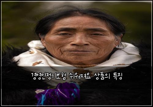 경영인정기보험 쉬워져요  상품의 특징