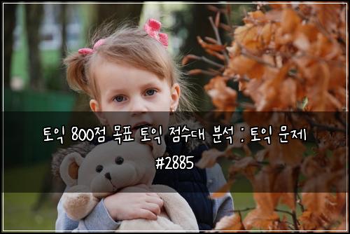 토익 800점 목표 토익 점수대 분석 : 토익 문제 #2885