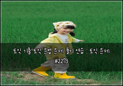 토익 기출 토익 문법 문제 풀이 연습 : 토익 문제 #2273
